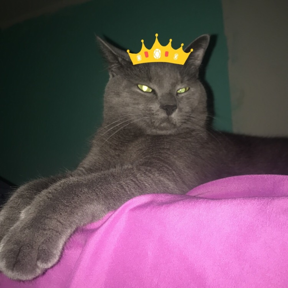 Meet your Posher, Jasmin